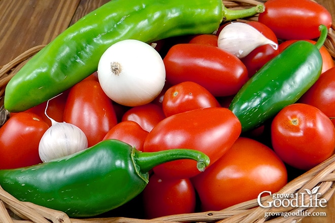 Celebrating the harvest and encouraging everyone to grow their own food! Sharing garden harvest photos for the week of August 24, 2015. With fresh ingredients available from the garden and a food processor, it is easy to whip up a batch of homemade fresh salsa. This is my simple go to recipe.