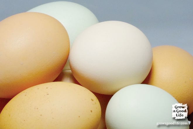Over 60 Egg-Cellent Egg Recipe Collection | Grow a Good Life
