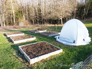 square-foot-gardens