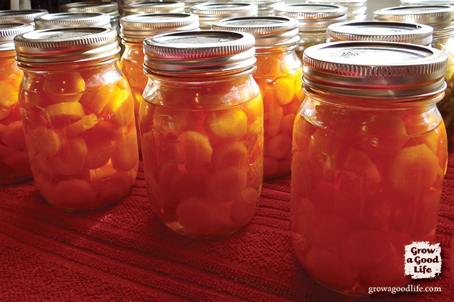 canned-carrots-photo