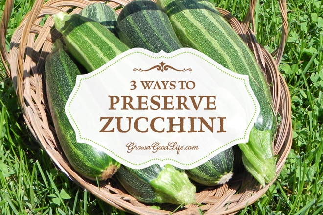 How To Save Zucchini Seeds