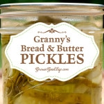 Granny's Bread And Butter Pickles Recipe