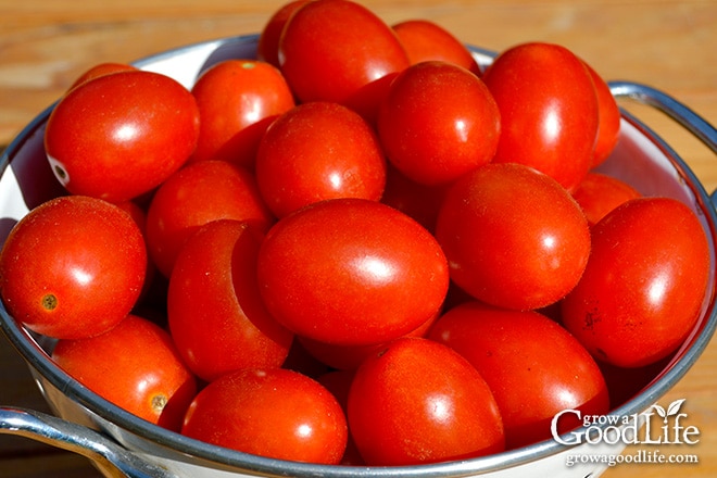 Celebrating the harvest and encouraging everyone to grow their own food! Sharing garden harvest photos for the week of October 5, 2015. Celebrating the harvest and encouraging everyone to grow their own food! Sharing garden harvest photos for the week of October 5, 2015.