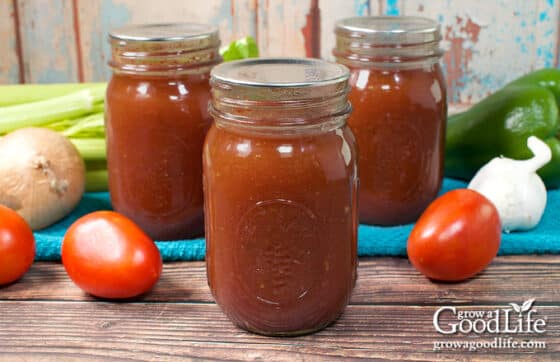 Homemade Barbecue Sauce Canning Recipe