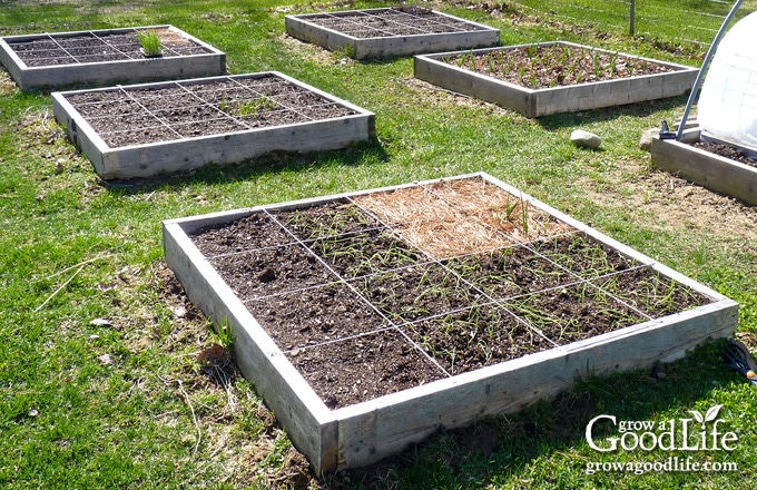 image of our square foot garden in spring