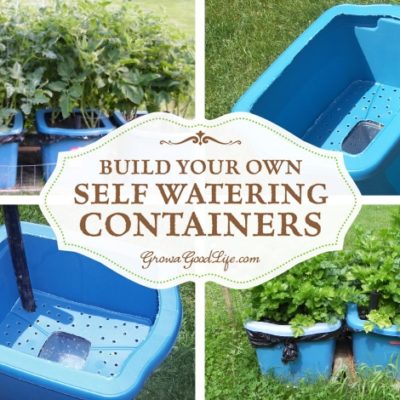 Self watering containers are an enclosed growing system that decreases moisture evaporation and offers a consistent water supply to your plants. It is made up of two chambers, the growing chamber and the water reservoir chamber. The growing chamber contains a wick that descends into the water reservoir that pulls water up into the growing chamber as needed for the plants. See how to make self watering containers out of some easy to find items.