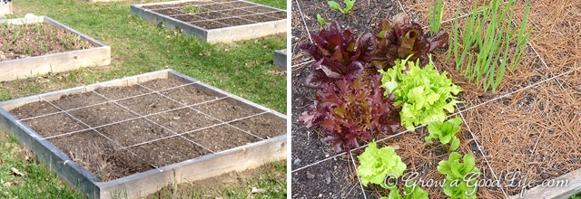 A square foot garden is a quick and easy way to begin or expand your garden. The method is simple to understand and makes it easy to plan your growing beds.