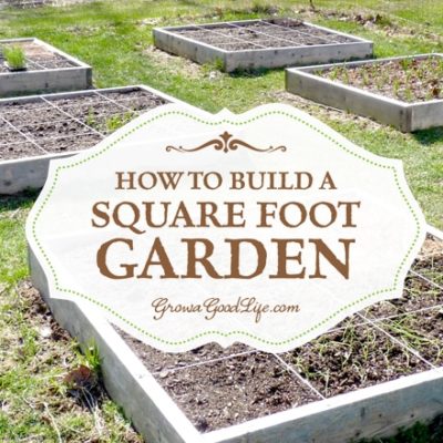 Building a square foot garden is a quick and easy way to begin or expand your garden. The method is also simple to understand, organized, and makes it easy to plan your growing beds.