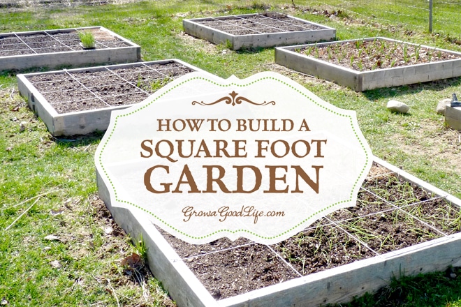 How To Build A Square Foot Garden