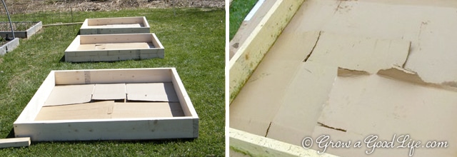 A square foot garden is a quick and easy way to begin or expand your garden. The method is simple to understand and makes it easy to plan your growing beds.