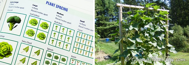 A square foot garden is a quick and easy way to begin or expand your garden. The method is simple to understand and makes it easy to plan your growing beds.