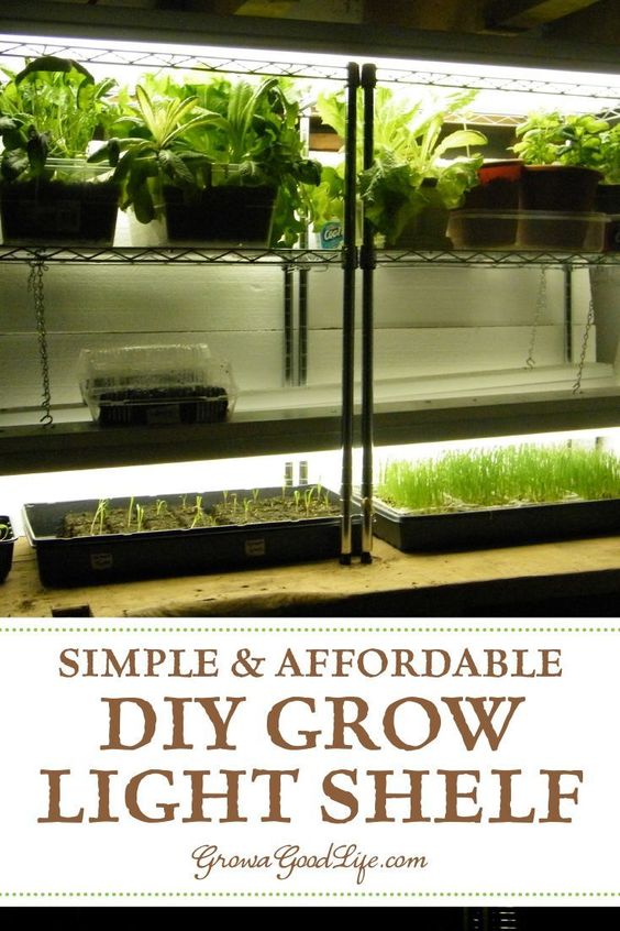 Build a Grow Light System for Starting Seeds Indoors