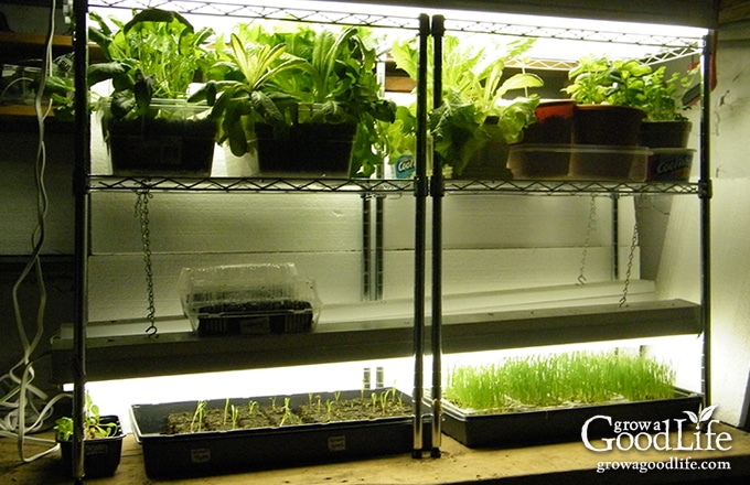 Grow lights deals to start seedlings