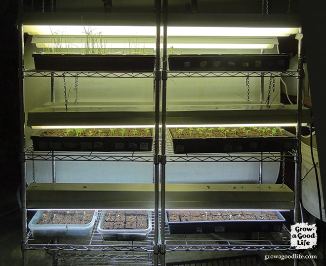 Expanding the Seed Starting Area | Grow a Good Life