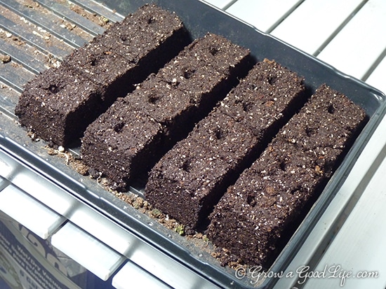 Soil Blocks for Growing Seedlings | Grow a Good Life
