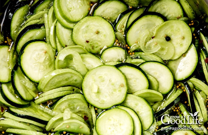 Zucchini and onion slices simmering in a seasoned vinegar brine with onions, mustard seed, and pickling spices.