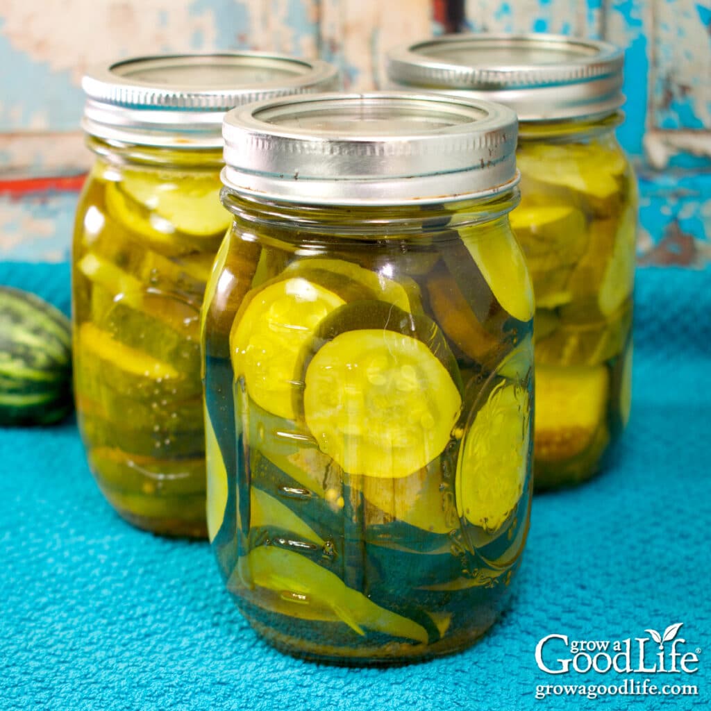 Jars of home-canned bread and butter zucchini pickles filled with sliced zucchini in golden brine.