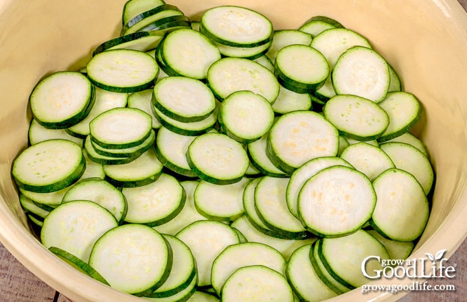 Sliced green zucchini rounds in a large bowl before salting and soaking for bread and butter zucchini pickles.