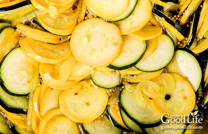 brining zucchini slices, onions, pickling spices in a bowl
