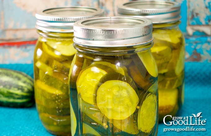 jars of home canned zucchini pickles on a table