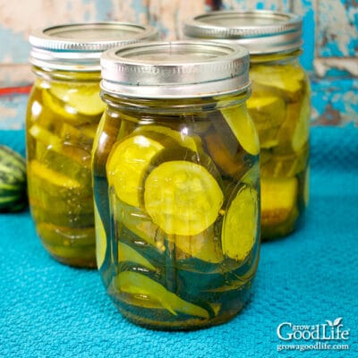 jars of sliced zucchini pickles on a blue towel