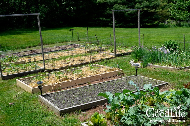 Grow a Good Life 2015 Garden