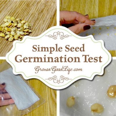 Before you throw those old seed packages away, test them to see if they are still viable using this simple germination test