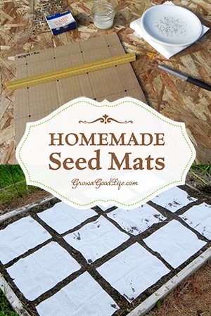 Homemade Seed Mats or Seed Tapes
