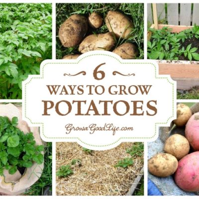 6 Ways to Grow Potatoes