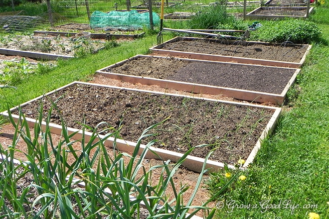 image of framed garden beds in the spring