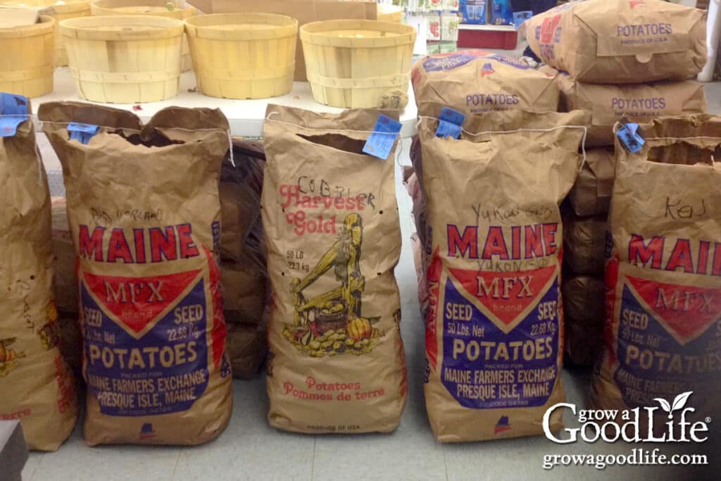 A display of certified seed potatoes for sale at a local farm and feed store.