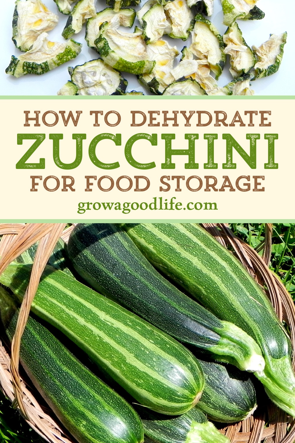 Dehydrating Zucchini for Food Storage