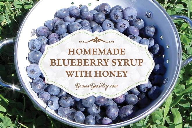 This simple blueberry syrup with honey recipe can be made with fresh or frozen blueberries. You can also use other varieties of berries such as strawberries, raspberries, blackberries, cherries, or a mix of berries.