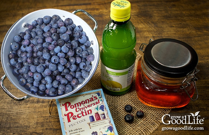 Ingredients for making blueberry syrup.