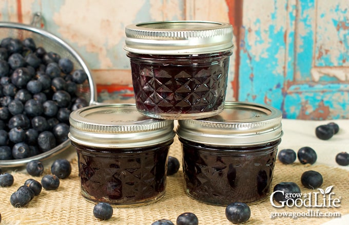 Three small jars of blueberry syrup.