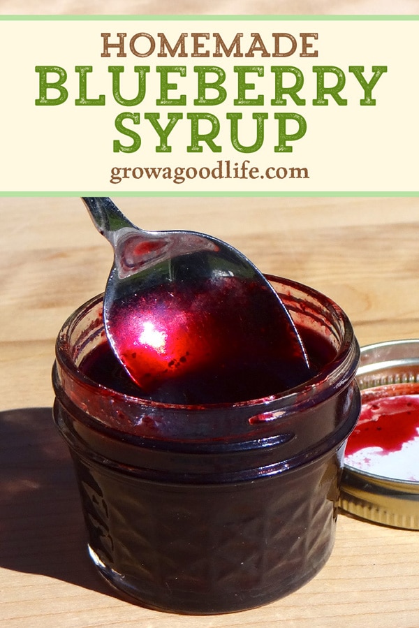 Homemade Blueberry Syrup with Honey