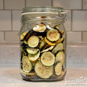 Dried zucchini slices in a jar after dehydrating.