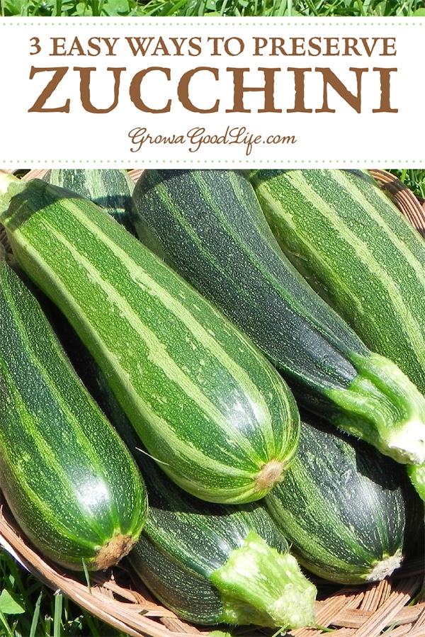 Preserve Zucchini 3 Ways