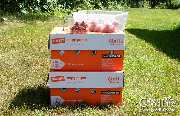 two paper boxes filled with potatoes ready for storing