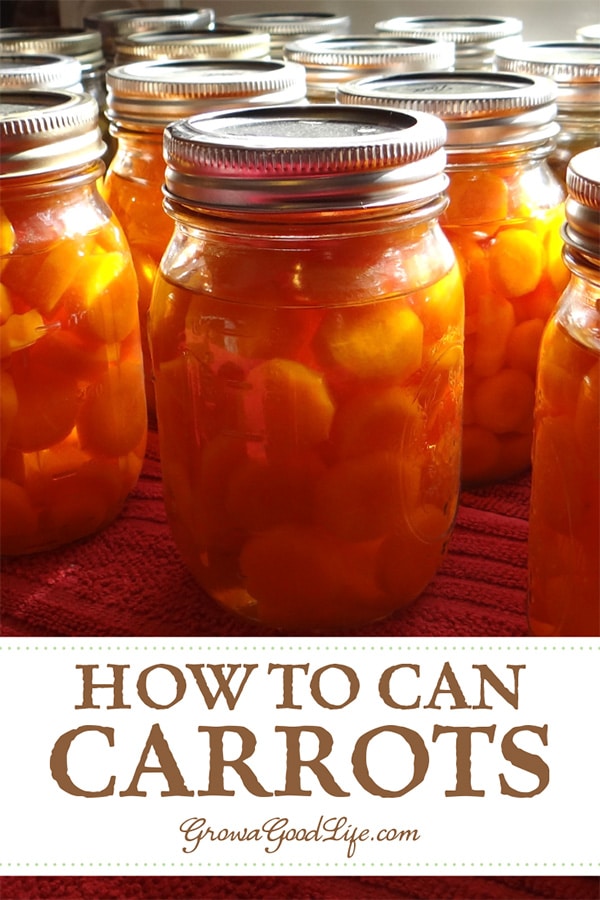 Canning carrots is a great way preserve them when abundant and in season. Słoiki z marchewką w Twojej spiżarni przydadzą się do szybkich posiłków, zup czy gulaszu.