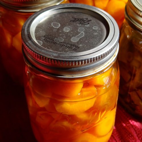 Fill Your Pantry with Home Canned Carrots