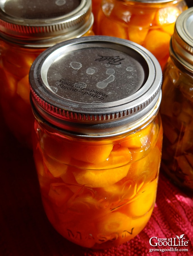 Fill Your Pantry With Home Canned Carrots