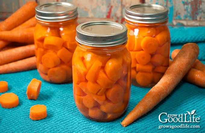 pint jars of home canned carrots on a table