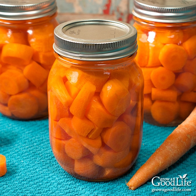 Canning Carrots for Easy Food Storage