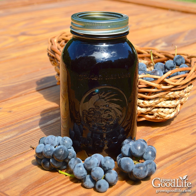 quart jar of homemade grape juice with a basket of grapes on a table