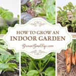 10 Reasons to Grow Your Own Organic Food