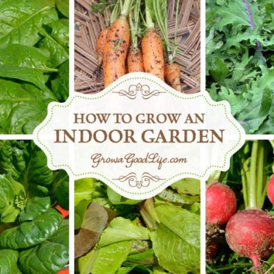 Craving fresh harvests during the winter or lack outdoor gardening space? Then start an indoor garden.
