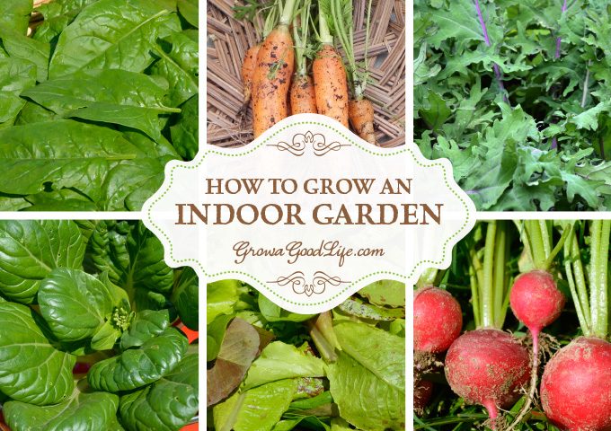Craving fresh harvests during the winter or lack outdoor gardening space? Then start an indoor garden.