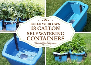 Build Your Own 18-Gallon Self Watering Containers | Grow a Good Life