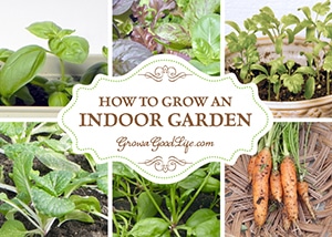 Whether you are craving freshly grown harvests during the winter or live in an area without gardening space, you can still grow edibles in your own indoor garden. See what you can grow indoors.